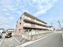 ステラ感田
