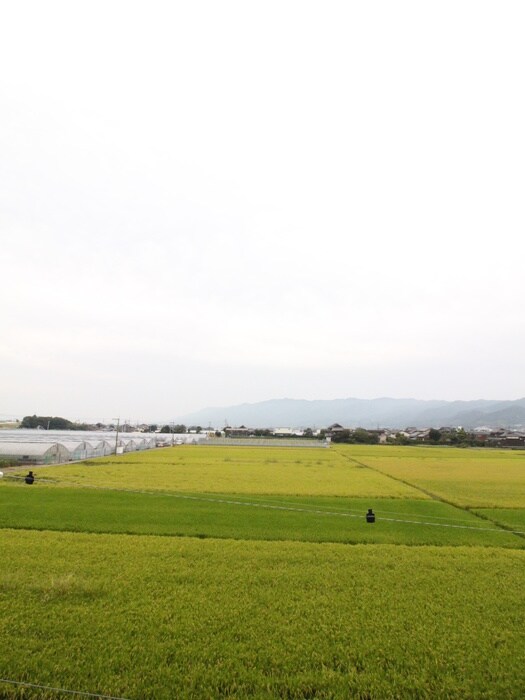 物件内観写真11　(室内からの展望)