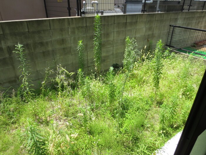 物件内観写真13　(ベランダ・バルコニー)