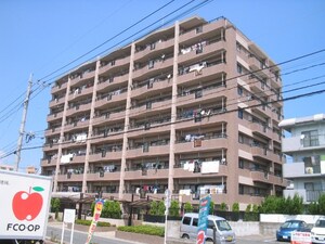 パラシオ荒江外観写真