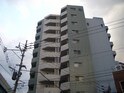 サヴォイバルビゾン(1103)