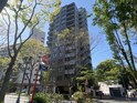 メルクリオけやき通り