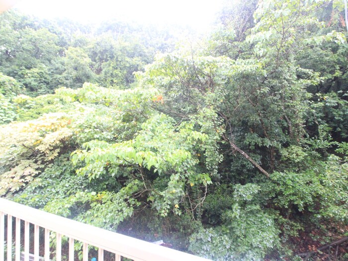 物件内観写真12　(室内からの展望)