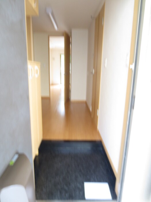 物件内観写真5　(玄関)