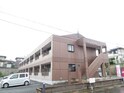 ピュアロイヤル 1