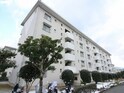 四箇田団地３８棟 404号