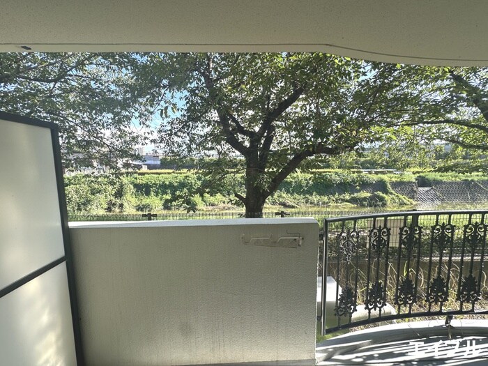 物件内観写真22　(室内からの展望)