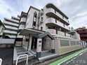 プルメリア大橋