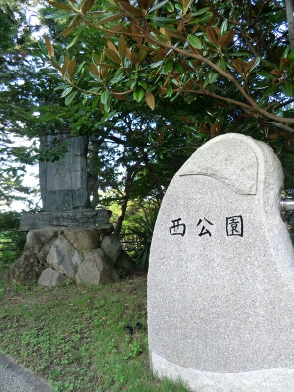 周辺環境