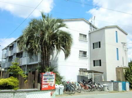 神代ハイツ外観写真