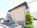 ステラコ－ト
