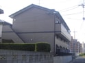 ファインフィールド