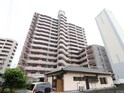 アーサー宗像アクシス（1403）