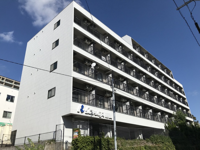 リファレンス照国