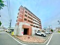 ペロパラシオ