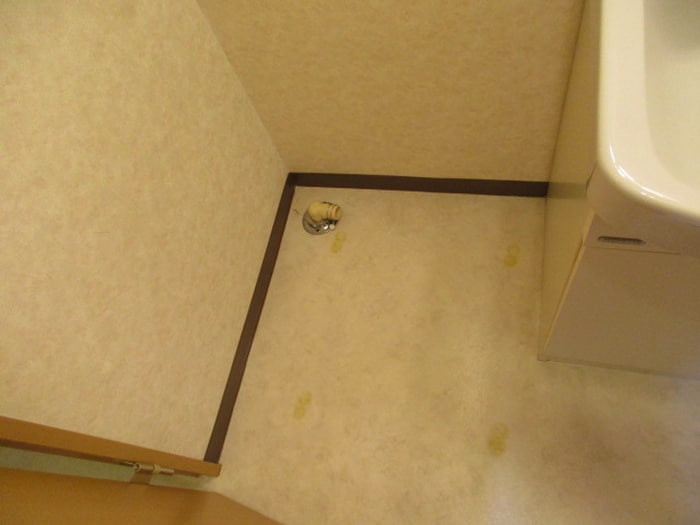 物件内観写真9　(洗濯機置場)