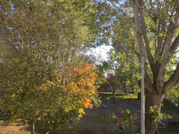 物件内観写真17　(室内からの展望)