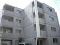 Manys Court MISONO