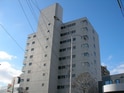 ﾗｲｵﾝｽﾞﾏﾝｼｮﾝ平岸第2弐号館(605)