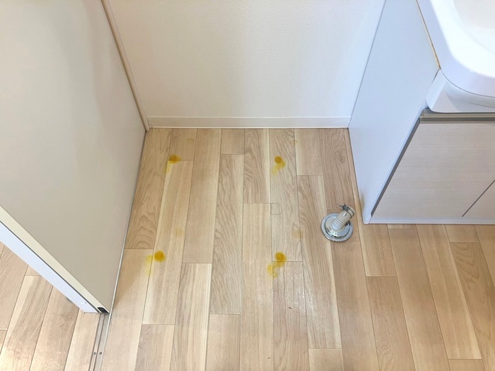 物件内観写真19　(洗濯機置場)