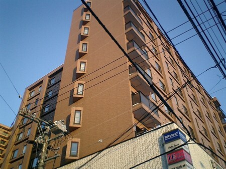 (745589)ﾀﾞｲｱﾊﾟﾚｽ白石(510)外観写真