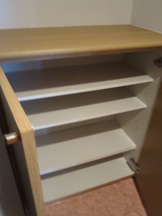 物件内観写真15　(靴箱)