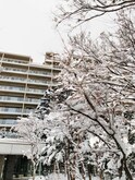ブランズ札幌中島公園（505）