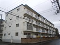 エスカイア二十四軒２号棟(101)