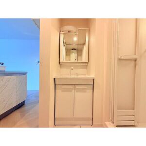 物件内観写真10　(洗面)