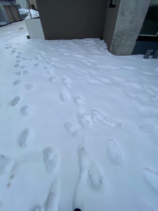 物件外観写真3　(駐車場)