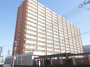 ﾊﾟｰｸｽｸｴｱ札幌発寒ｱﾗｲｽﾞｺｰﾄ(1202)外観写真