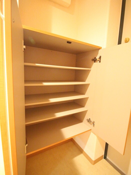 物件内観写真19　(靴箱)