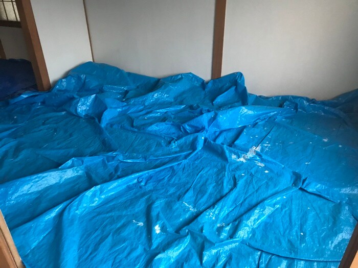 物件内観写真11　(居室)