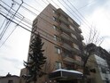 ダイアパレス円山(301)