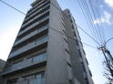 Ｓｔｅｌｌａ　Ｔｏｗｅｒ