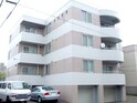 コ－ラル１５