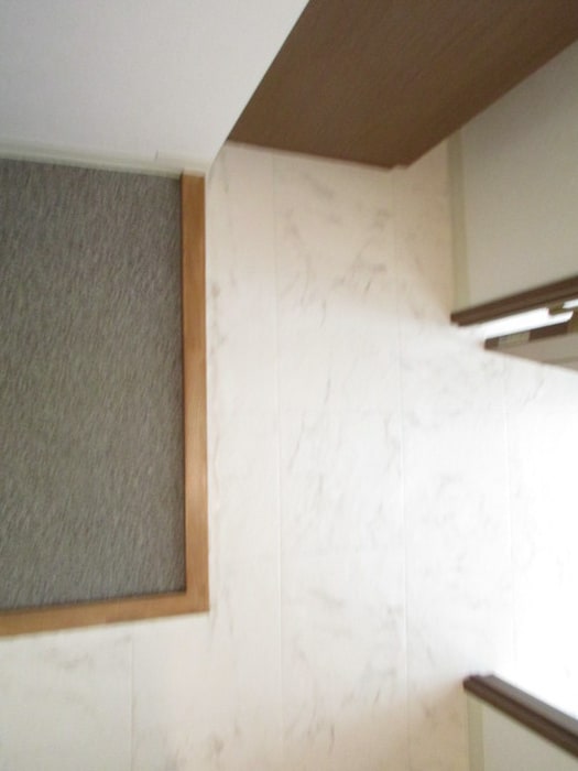 物件内観写真21　(玄関)