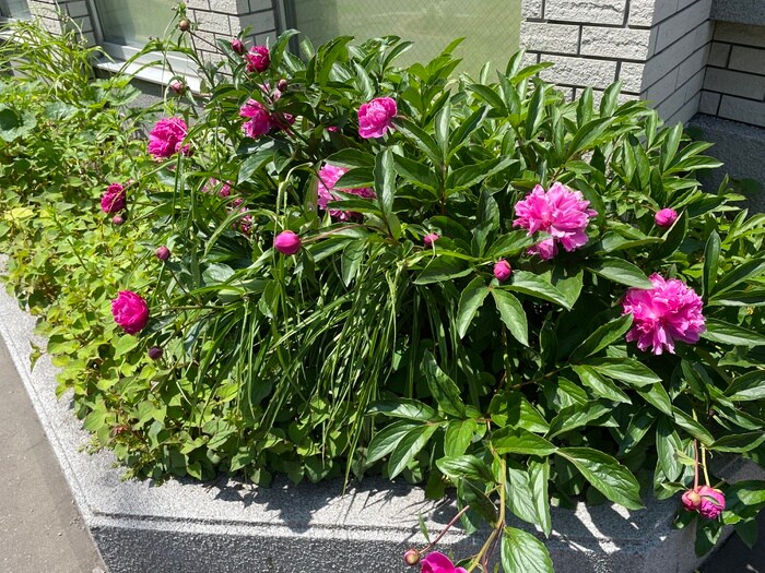 物件外観写真6　(エントランス部分)