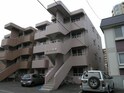 ナイン本郷