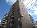 ＴａＫｕｍａｎｏｒ