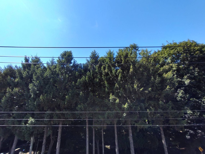 内観写真