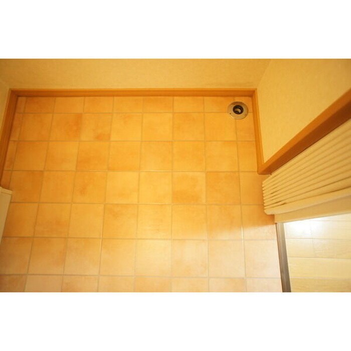 物件内観写真11　(洗濯機置場)