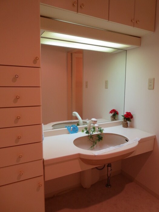 物件内観写真12　(洗面)