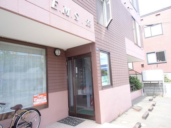 同型モデル