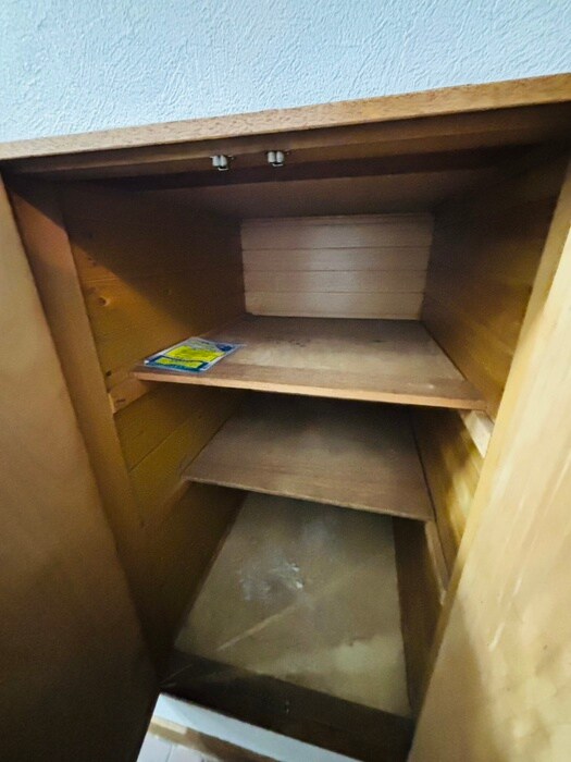 物件内観写真21　(靴箱)