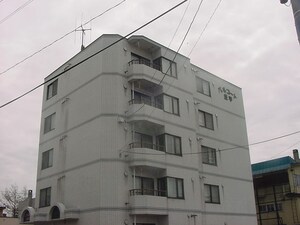 パルコート豊平外観写真