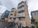 セントポーリア　アイリス