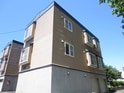 ＰＬＡＺＡ　ＩＮ　Ｎ１１　Ⅱ