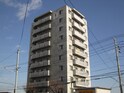 willDo南平岸