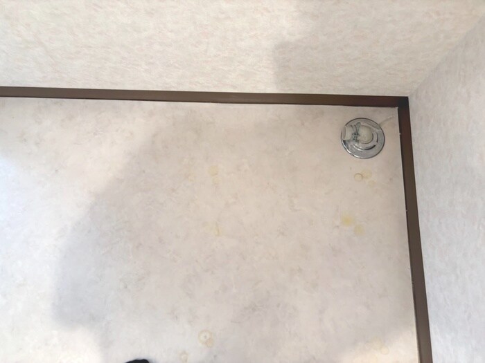 物件内観写真13　(洗濯機置場)